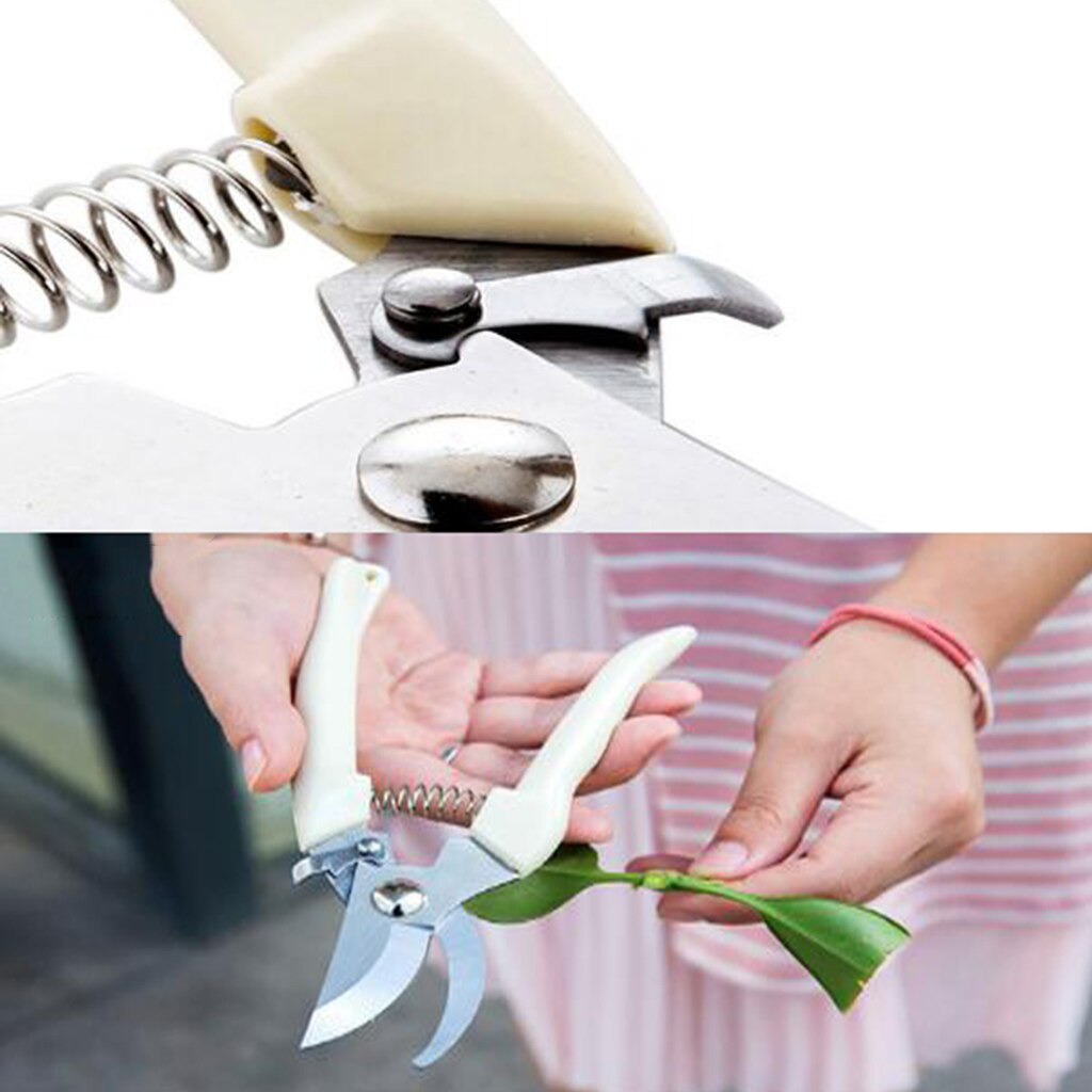 1x Stainless Pruning Cutting Horticultural Scissors Orchard Branch Cutting Tools