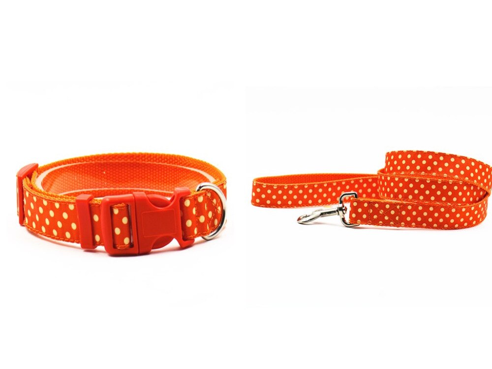 Huisdier kraag + leash dot mode huisdier halsbanden en tractie S L size Nylon kraag hond kraag leash nylon