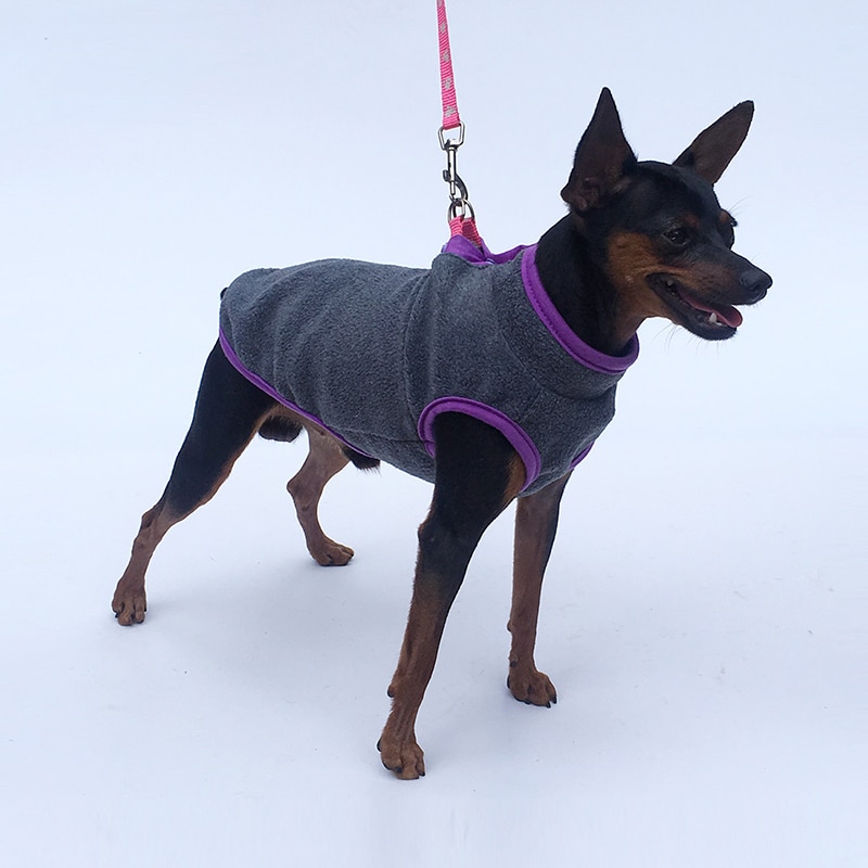 Pas cher chien vêtements hiver automne polaire vêtements pour animaux de compagnie pour petits chiens moyens gilet chemise manteau avec boucle uppy chien Costume