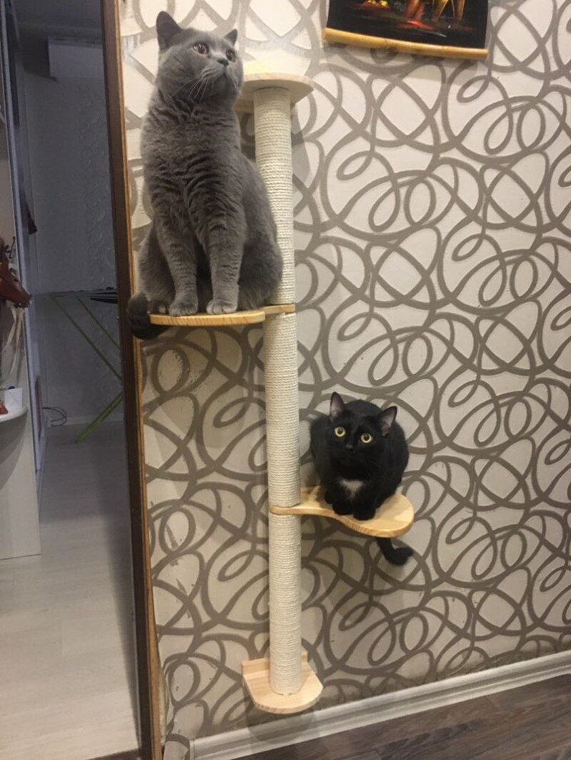 Sisal kat ridse post kat træ kat klatrestativ legetøj