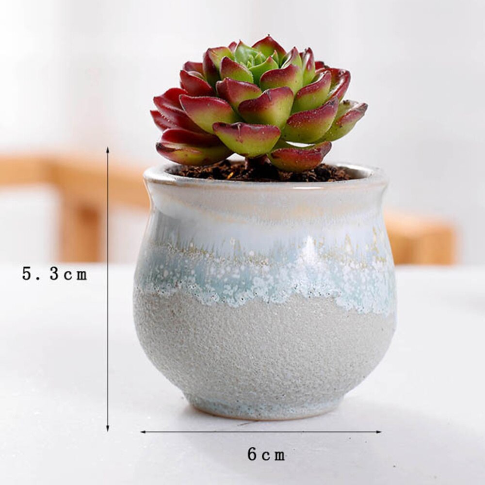 Maceta de cerámica para plantas suculentas, flujo Variable, para el hogar, oficina, plantas sin planta, 6 uds.