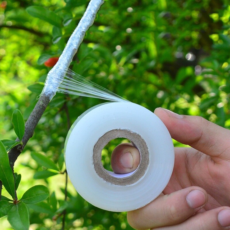 Rouleau bande de greffage Membrane | Ruban de greffe, ruban de greffe auto-adhésif extensible, outils de réparation de semis d'arbre de fruits de jardin, tapisseur