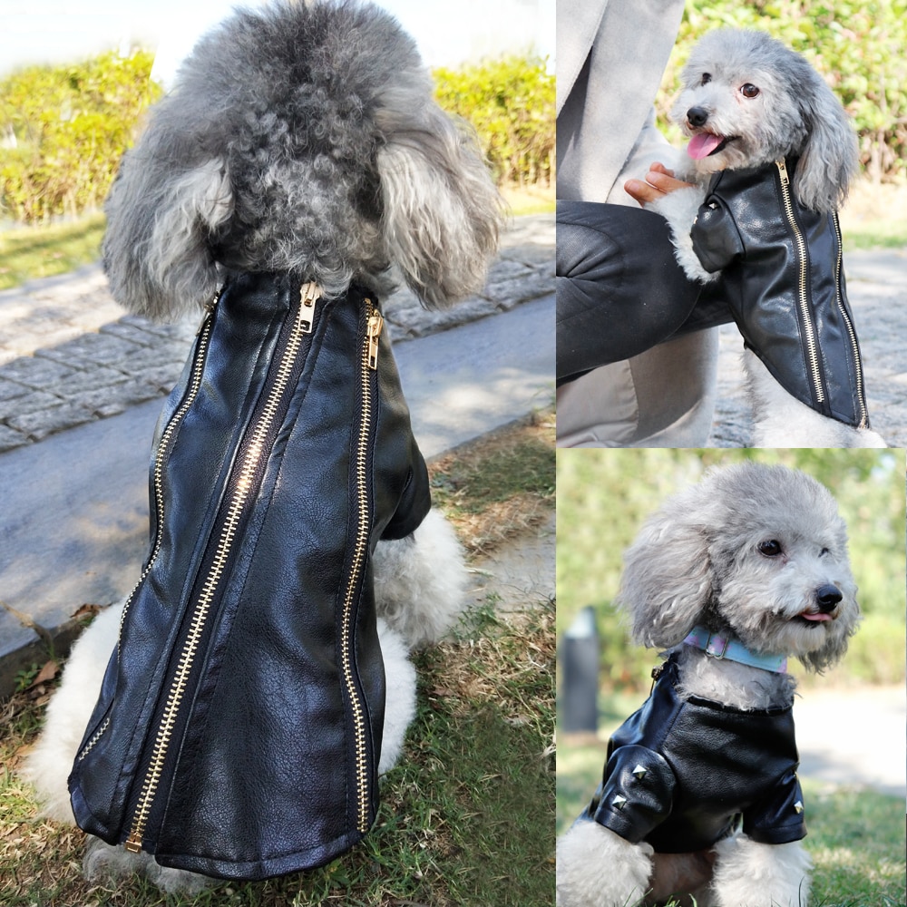 Ropa de para perros, cuero excelente abrigo para perro mascota de invierno cálido, conjunto de ropa para perros pequeños, medianos, Carlino, Chihuahua