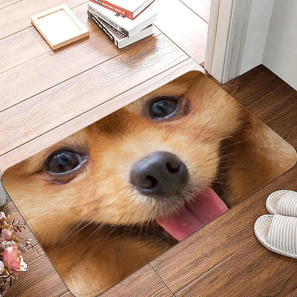Bedroom Balcony Non-Slip Rug Entrance Door Mat Floor Dog Funny Pug Schnauzer Kitchen Living Room: 1 m2 / Blue
