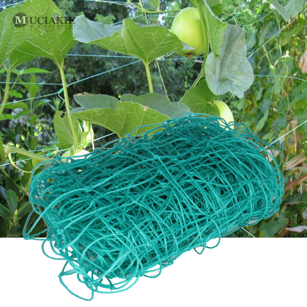 Garden Vegetable Fruit Climbing Plant Support Netting Mesh 10x10cm Vertical Clematis Climber Trellis Netting Cucumber Garden Net