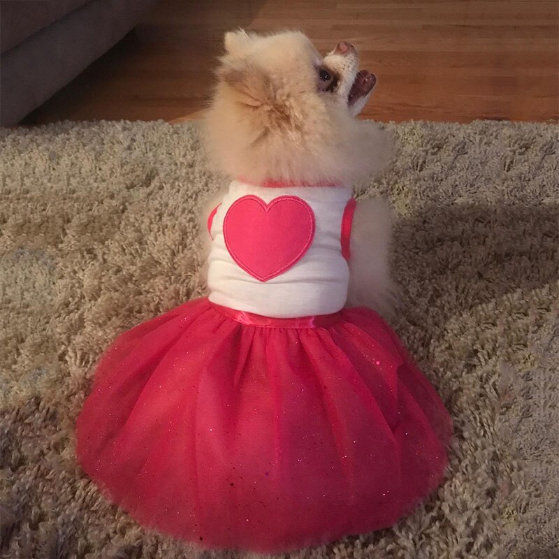 Zomer Jurken Voor Honden Hart Gedrukt Kant Kleding Chihuahua Teddy Jurken Voor Perritas Tutu Prinses Jurk Voor Puppy Pet Kleden