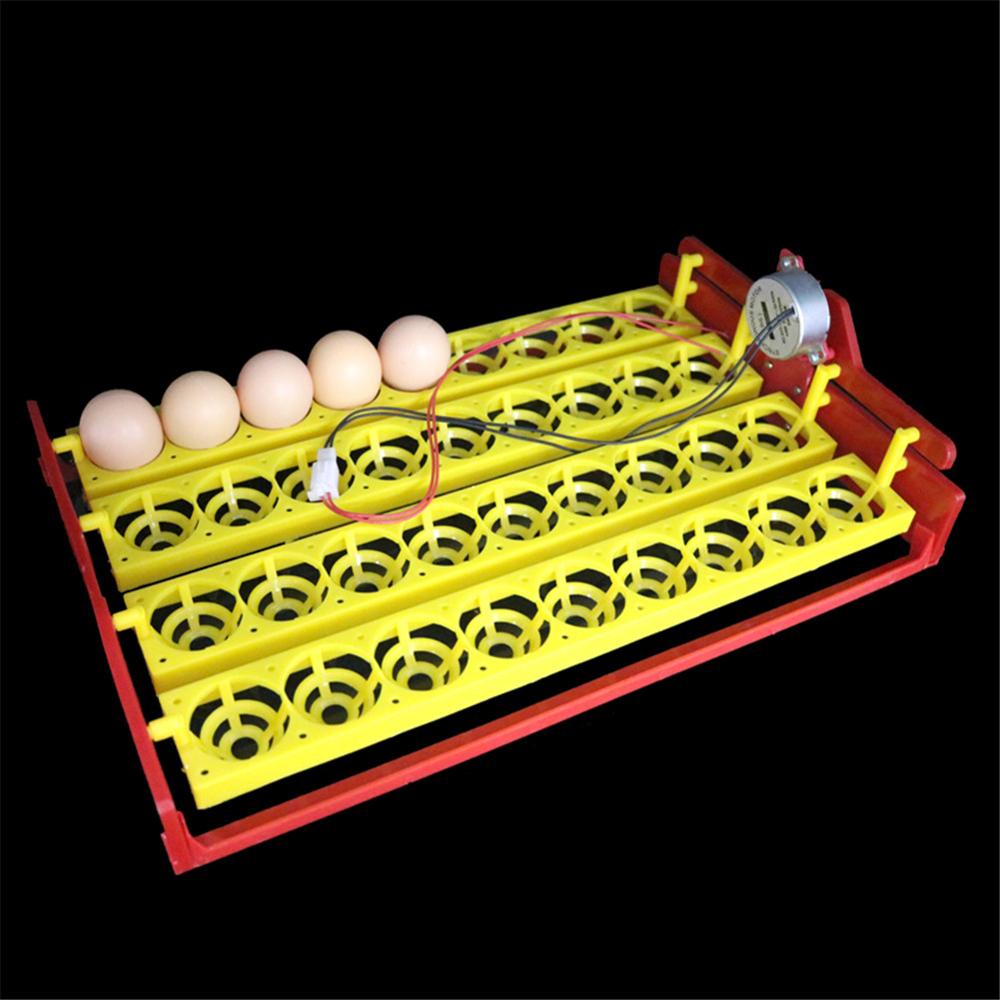 Incubadora para aves, 36 ovos, bandeja giratória, pato, ovo de codorna, pássaros, equipamento automático de incubação para animais de fazenda