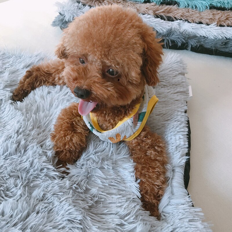 Pet Dog Mat Cat Bed House Fluffy Long Plush Pet Blankets Warm Sleeping Puppy Kennel Pad Cushion for Dogs Pet Accessories