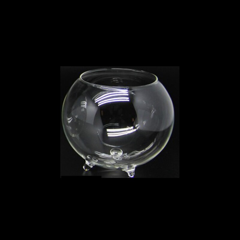Glass Jewelry Container Aquarium Fishbowl Flower Plants Jar Home Decoration Vase Round Glass Necklace Storage Holder Stand: S 10CM