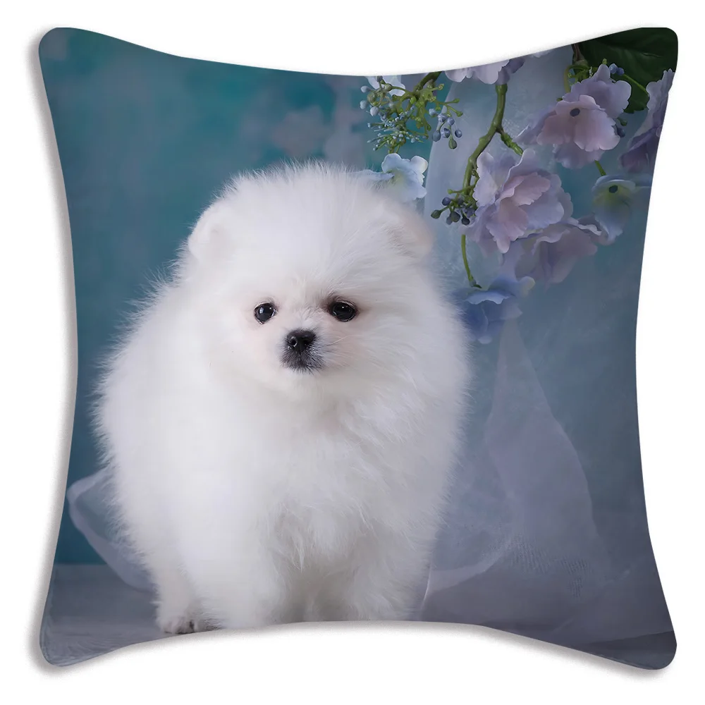 Fodere per cuscini per cani carini Divano dei cartoni animati Federa decorativa per la casa Stampa Fodera per cuscino carina: 400*400mm / marina militare Blu