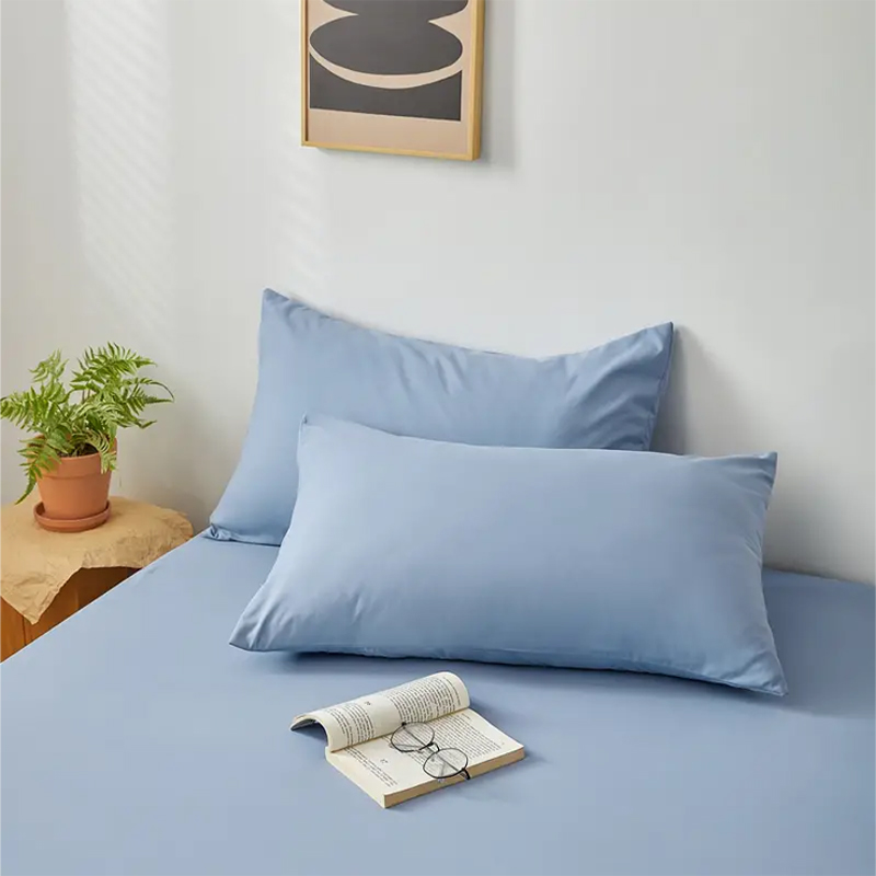 2 stuks geborstelde kussenslopen, zachte, ademende kussenslopen, hoogwaardige kussenhoezen voor slaapkamer, bank en huisdecoratie, exclusief kussen: Blauw