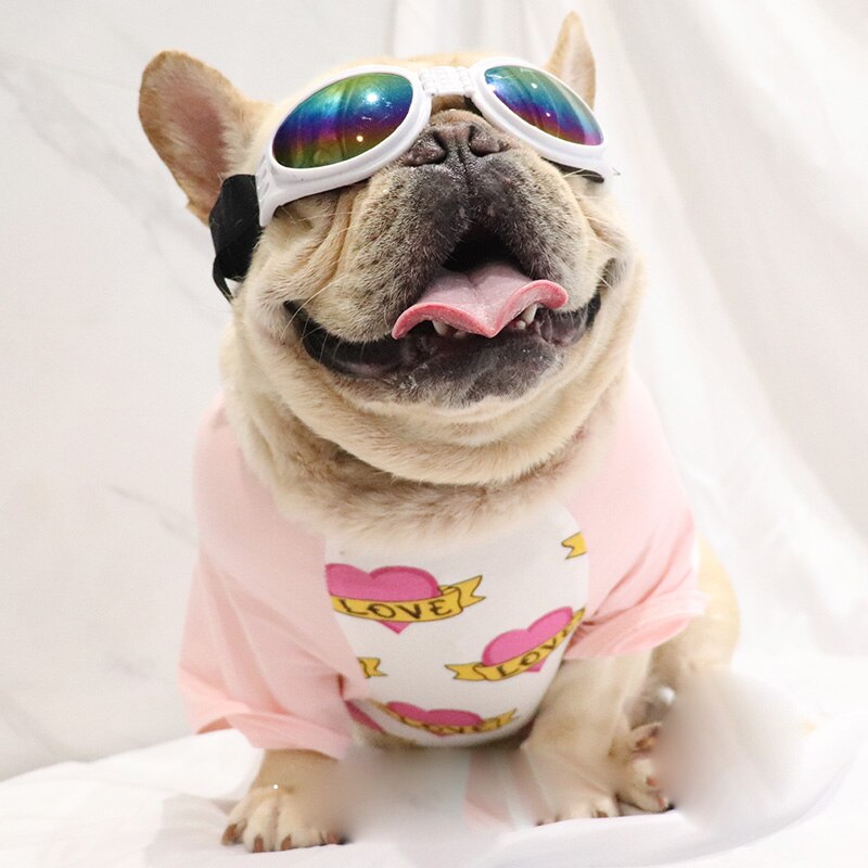 Gafas de sol de para perros de compañía, lentes de sol impermeables para perros pequeños, medianos y grandes, protección UV, accesorios para mascotas, 6 colores