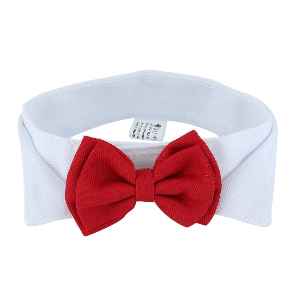 Smuk hund kat butterfly brudgom smoking kostumer kæledyr hunde slips bryllup tilbehør pleje rød bowtie