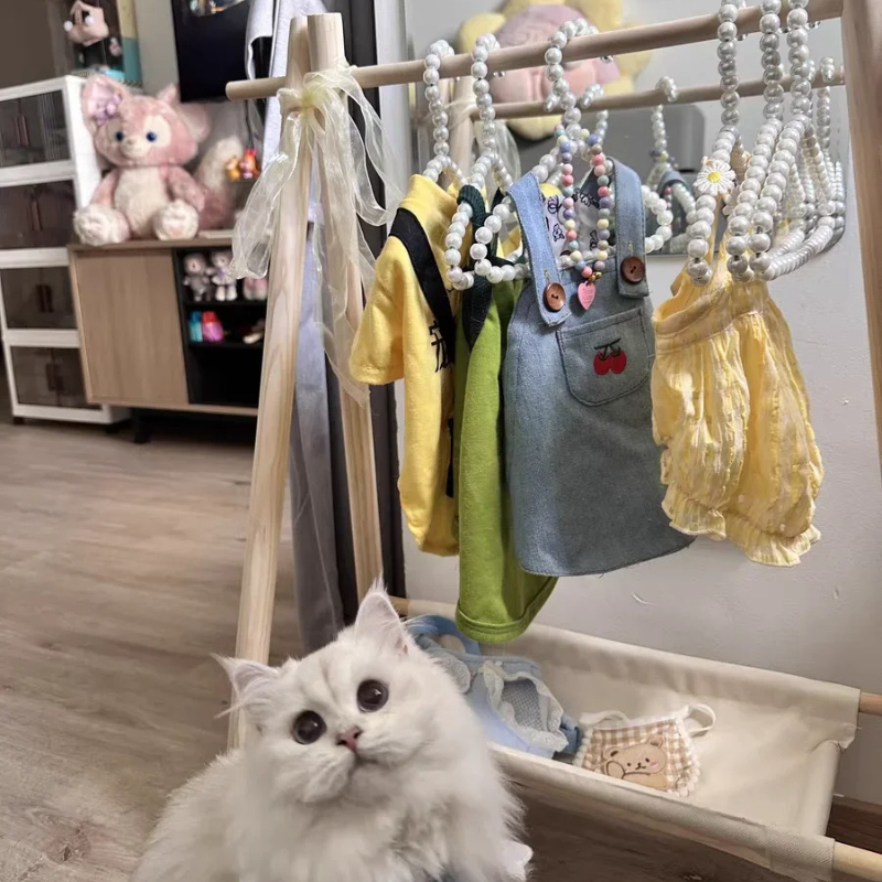 Garde-robe en bois massif pour animaux de compagnie, garde-robe pour chien, porte-manteau pour chat, petit support de rangement pour vêtements