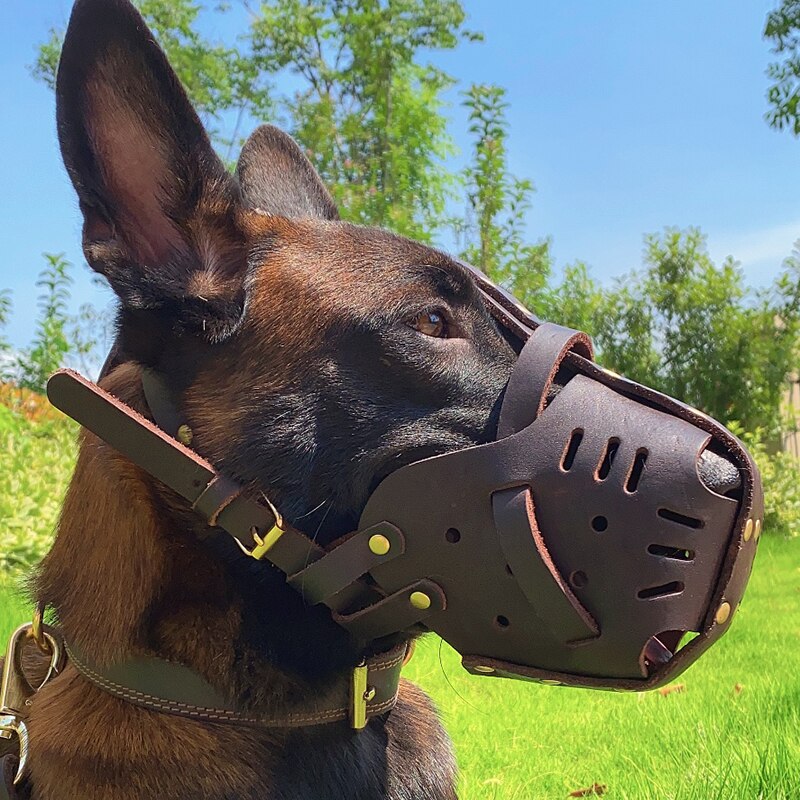 Basket Muzzle For Bulldog Muzzle German Shepherd Muzzle Dog Muzzle To Stop Eating Everything Homemade Dog Muzzle For Barking: Chocolate / L