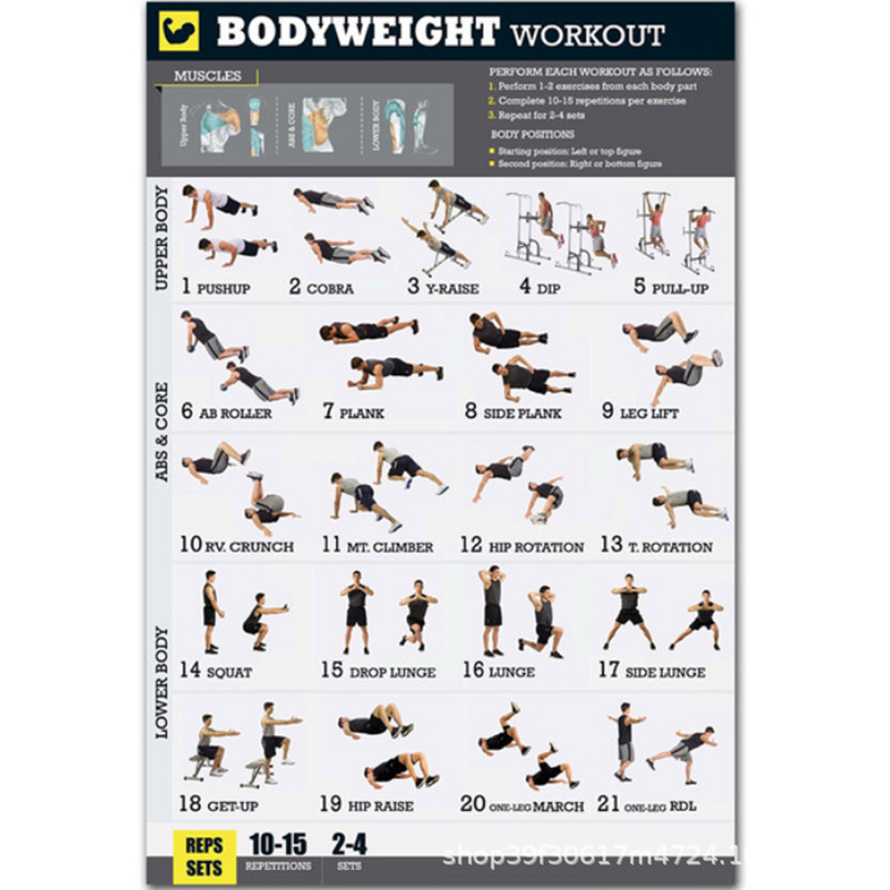 Bodyweight Exercise Poster Set Laminated 2 Chart Set Men and Women Body Weight Workouts for Home GYM Fitness