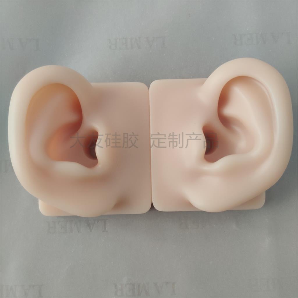Volwassen simulatie oor model links en rechts siliconen acupunctuur oor model eudcation demonstratie gebruik