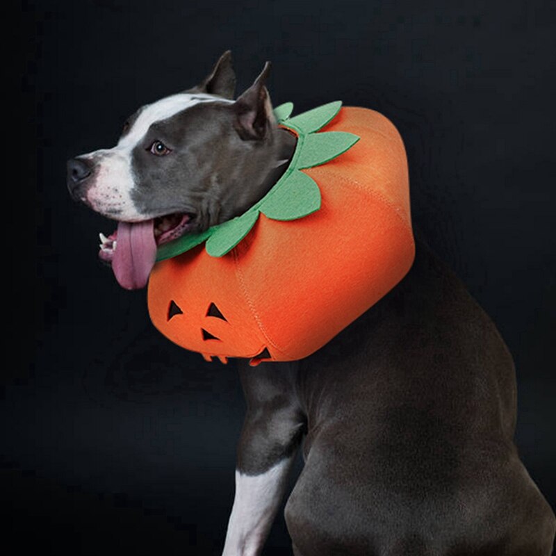 2020collares para mascotas, calabaza de Halloween para gatos, perros pequeños, bonitos accesorios para mascotas, Cute Neckband para gato, cachorro, vestido