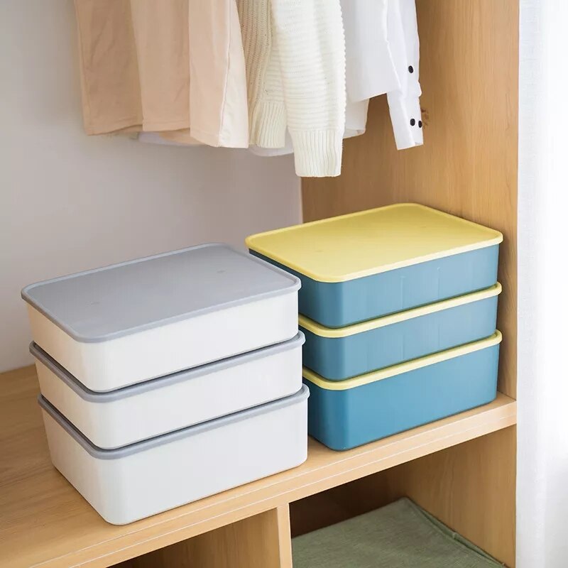 Sous-Vêtements En Plastique Boîte Muit Multifonctions Cravates Chaussettes Short Rangement Placard Tiroir Organisateur Boîte