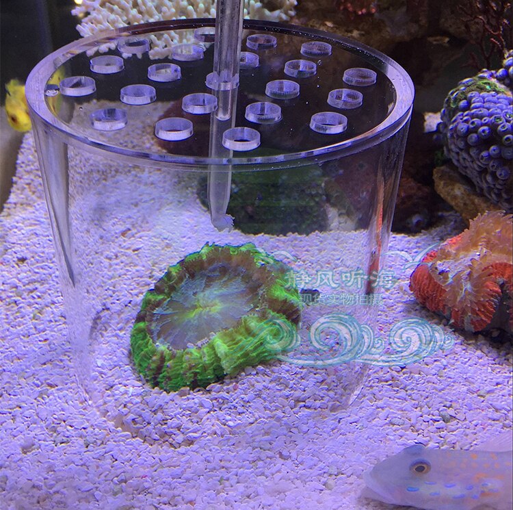 Aquarium lps koral feeder dæksel reef feeder pipe beskytte hjerne koral til marine rev tank