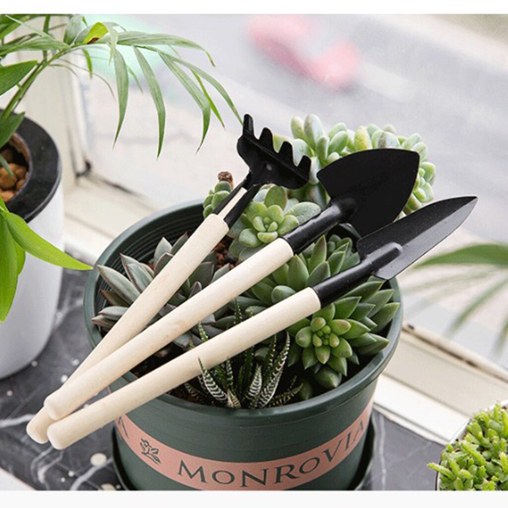 3pcs Garden Plant Tools Mini Planting Succulent Garden Tools with Wood Handle