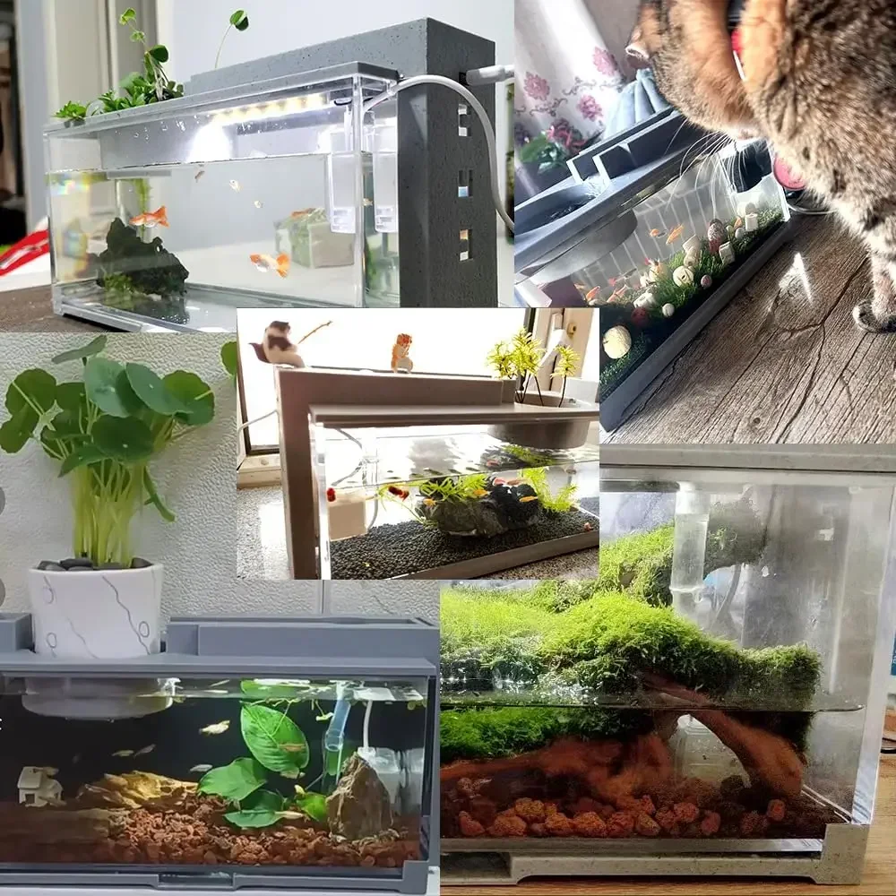 Kit de tanque de peces de acuario pequeño, barra de oxígeno integrada, filtro silencioso USB, decoración multifuncional de escritorio de oficina, adornos para el hogar