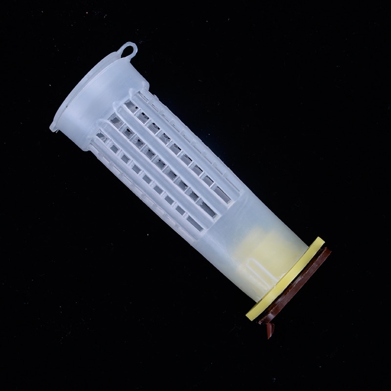 50/70/100/200Pcs Queen Bee Protective Cover Prisoner Queen Cage Beekeeper Tool Garden Beekeeper Queen Bee Catcher