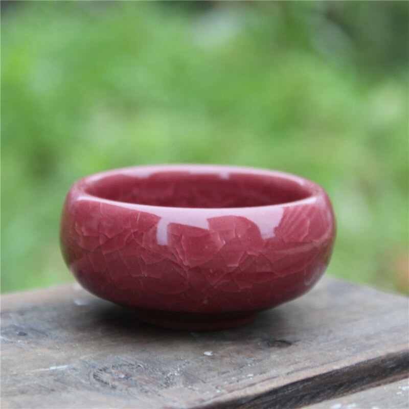 Minimacetas decorativas de cerámica para jardín, macetas para plantas, plantas, decoración de escritorio, Maceteros: 8