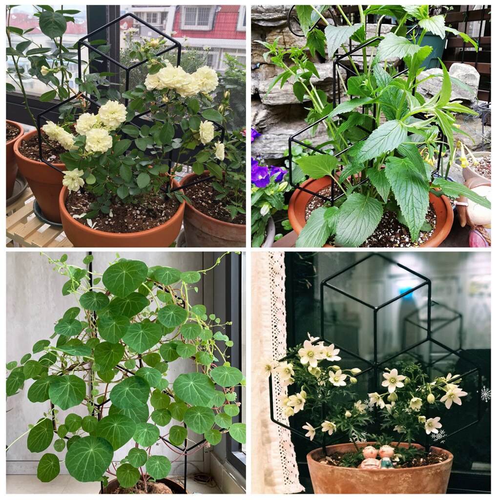 Seway Garden Metal-trellis Lattice-shaped Plant-trellis For Diy Potted Climbing Flowers Patio Wire Lattices Grid Panels #YL10
