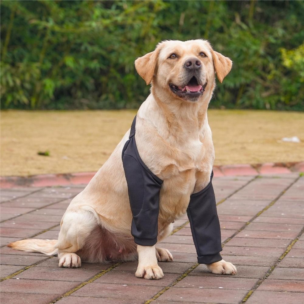 Cartoon Pattern Dog Elbow Sleeves Soft Brace Dog Elbow Protector Shoulder Support Cotton Pet Knee Pads for Elbow Brace