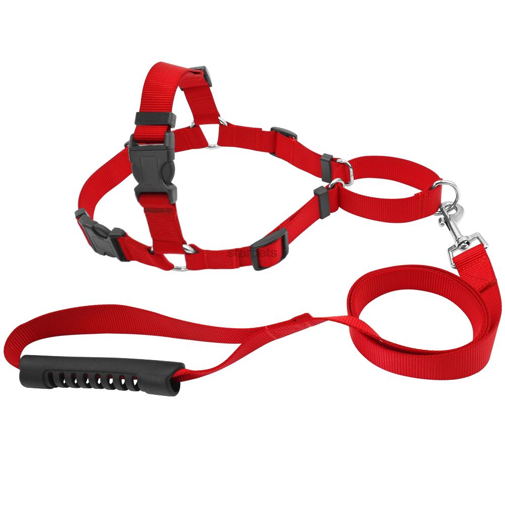 Pet No-Pull Nylon Dog Harness With Leash Training Harness Stop Pulling On Lead Small Medium Large: Red / L