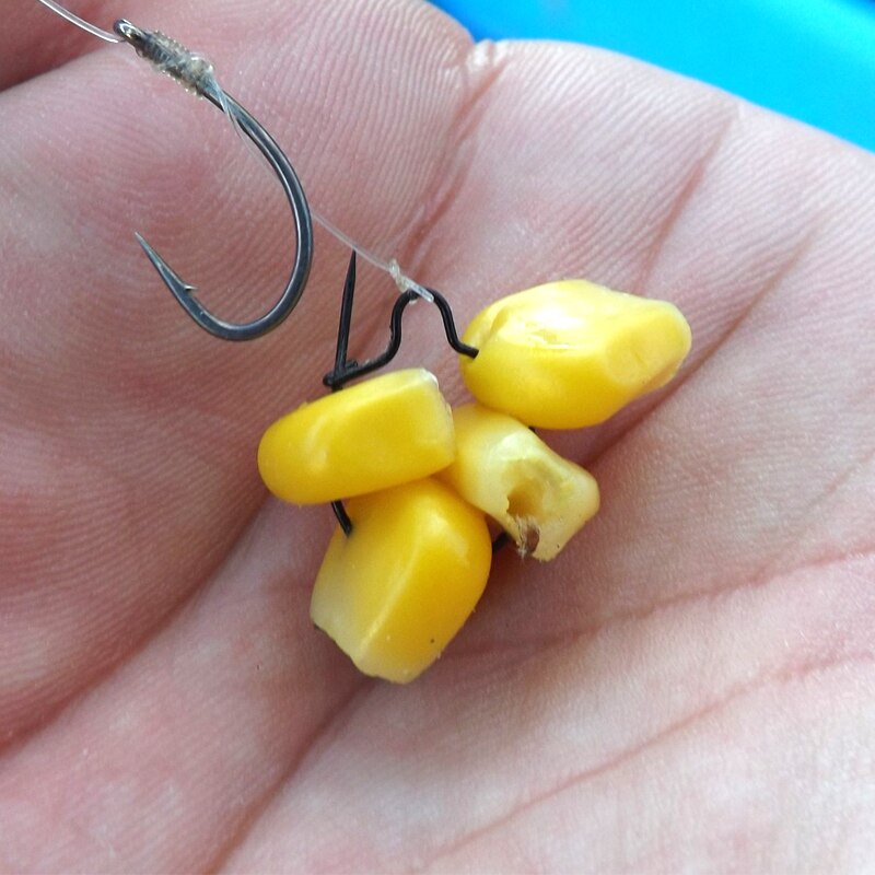 100 stk karpefiskeri tilbehør orm maddike klip agn stik boilie pin spike klip til karpe hår chod rig krog karpe feeder grej