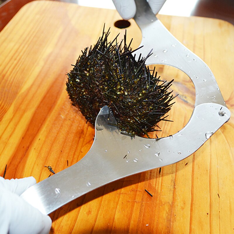 Coupe-oursins, ciseaux à pince, en acier inoxydable, ouvre-châtaignes durs, coupe d'aliments en mer, Gadgets de noël