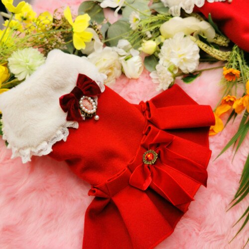 Autumn Winter Year Red Pet Dog Clothes Plus Velvet Warm Woolen Cloth Bow Dress For Small Medium Dog Outfits Dog Jackets: dress / XS
