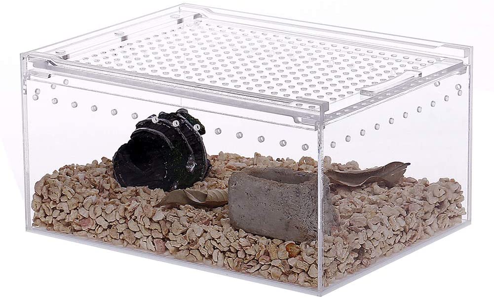 Caja de acrílico para reptiles, caja plana larga transparente para cría de reptiles, terrario, jaula para Tarantula, escorpión, Isopods