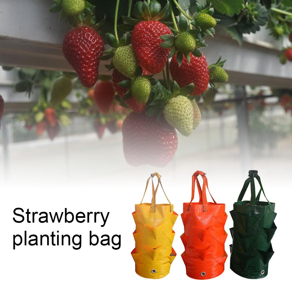 Grow Bag Hanging Strawberries Vegetables Plant Growing Bags for Garden Balconies Greenhouses