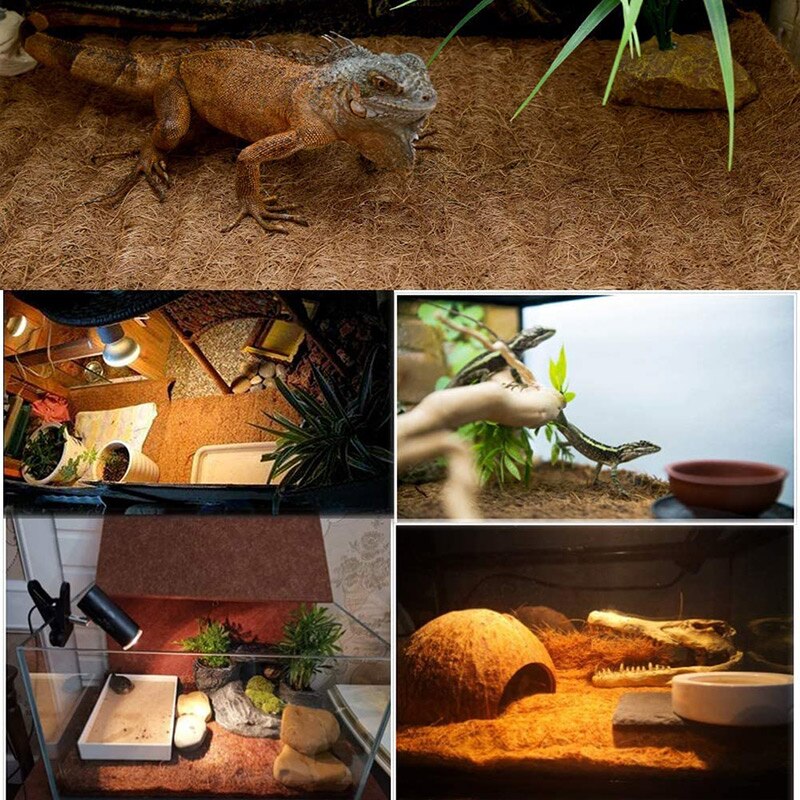 gad dywan z włókna kokosowego żółw mata dywanowa dla zwierząt Terrarium liniowiec gadów dostaw dla jaszczurki wąż kameleon 60X100cm