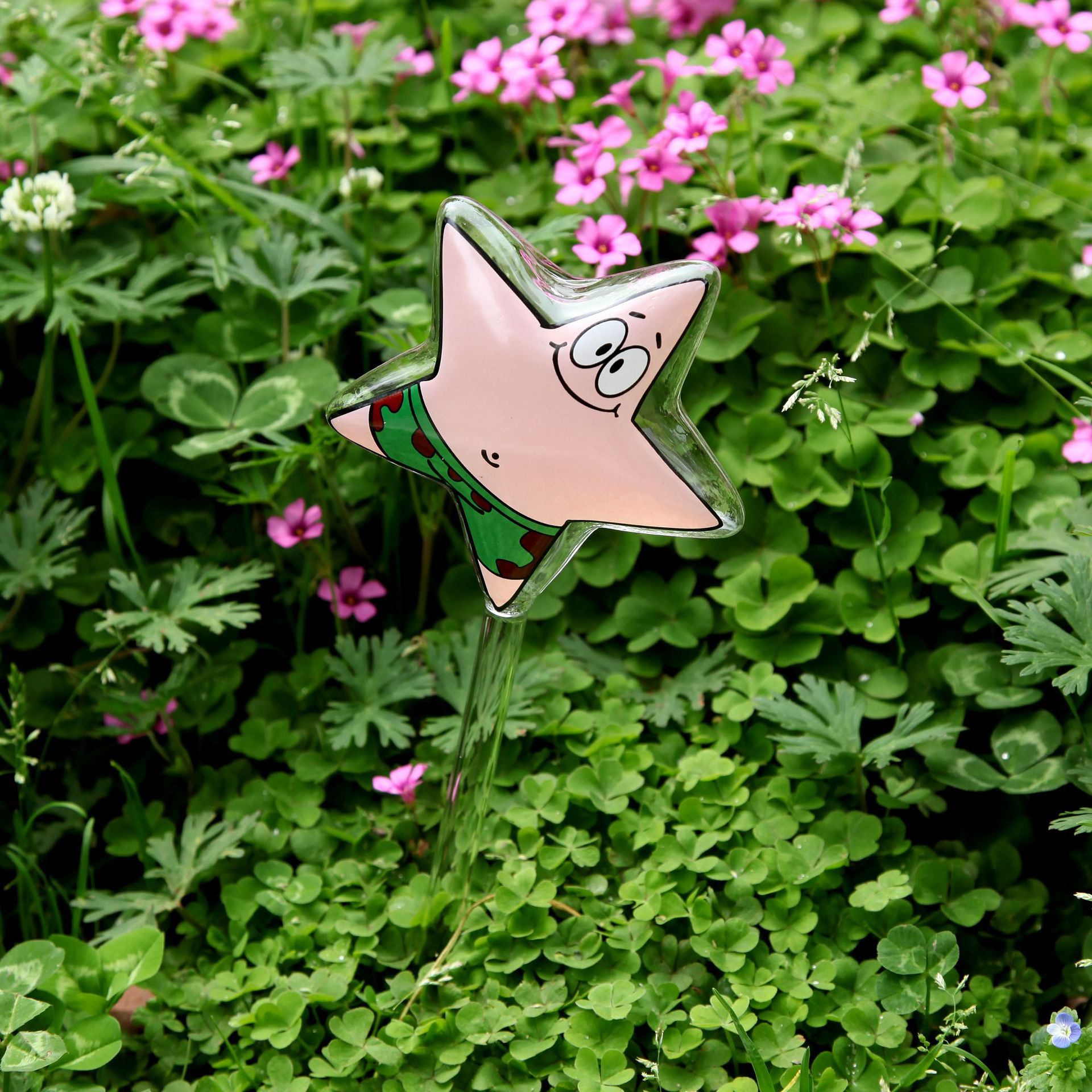 Houseplant Automatic Self Watering Indoor Plant Flowers Water Feeder Glass Watering Devices Garden Pot Drip Irrigation System