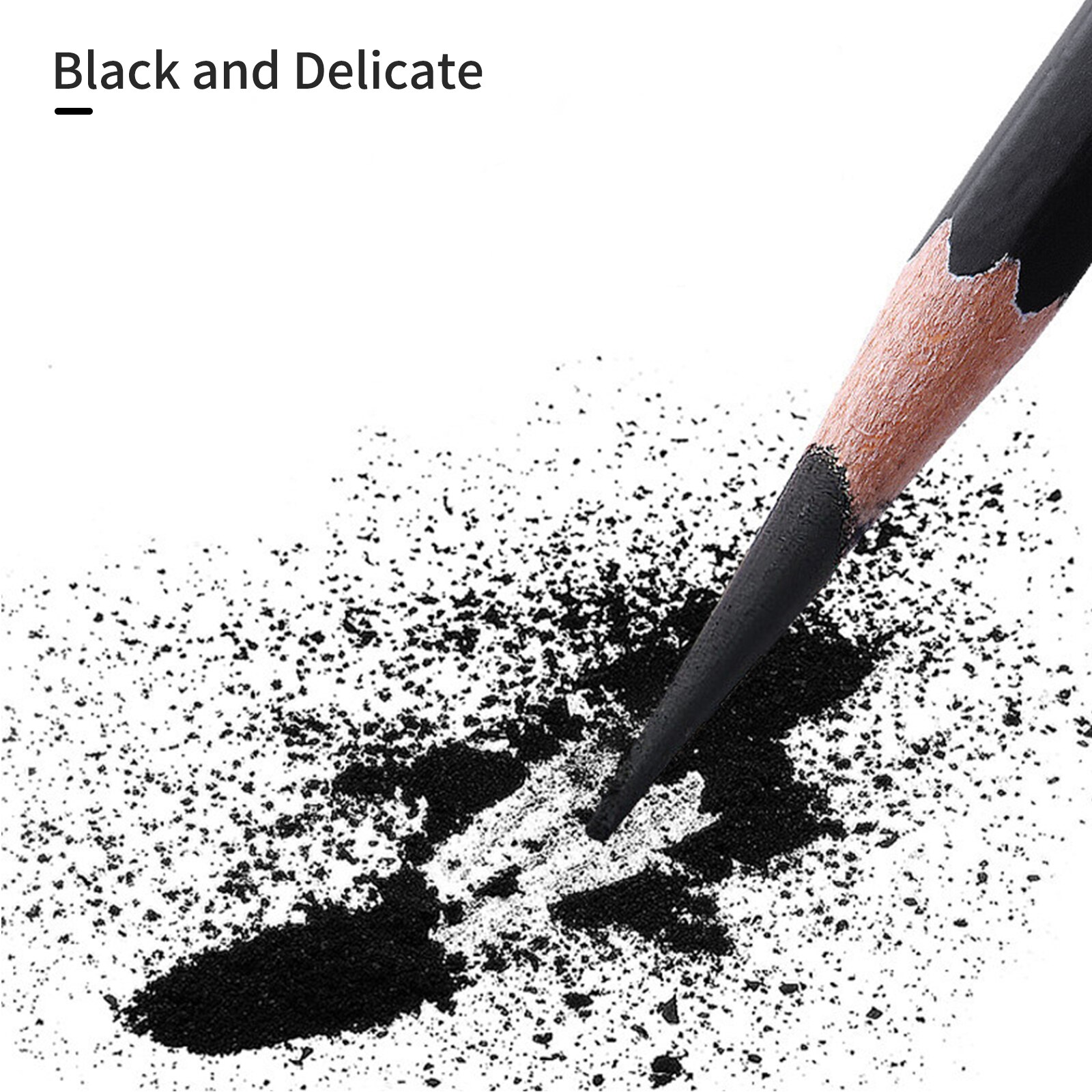 tenwin 12pcs Charcoal Pencils Set Sketching Pencils Soft Charcoal Pencils for Drawing Sketching Shading for Artists