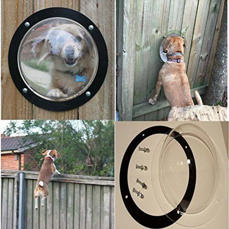 Kæledyr kig hegn boble vindue hund hvalp landskab holdbar akryl kuppel gennemsigtige vinduer forhindrer kæledyr i at undslippe dækning