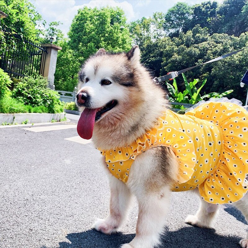 Vestido con estampado de margaritas para Perro, ropa para mascotas, Disfraz para perros medianos y grandes, Labrador Golden Retriver, Disfraz para perros grandes