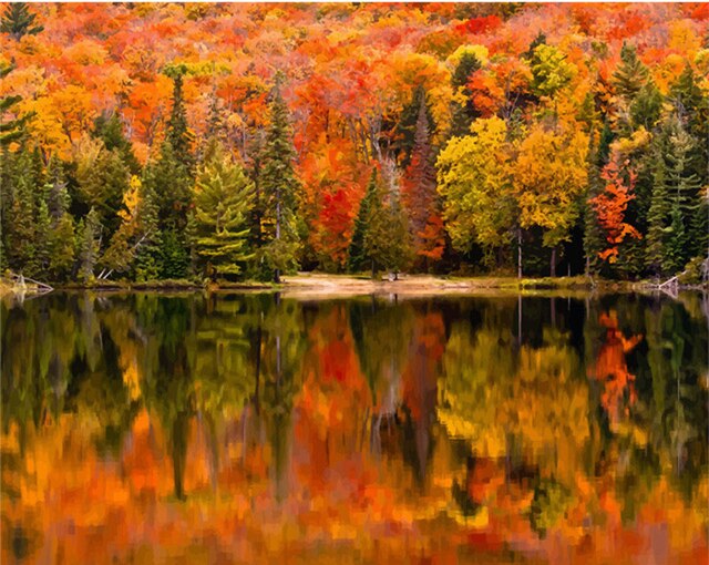 HUACAN Painting By Number Forest Landscape Kits Drawing Canvas HandPainted DIY Oil Pictures Scenery Home Decor: SZHC035