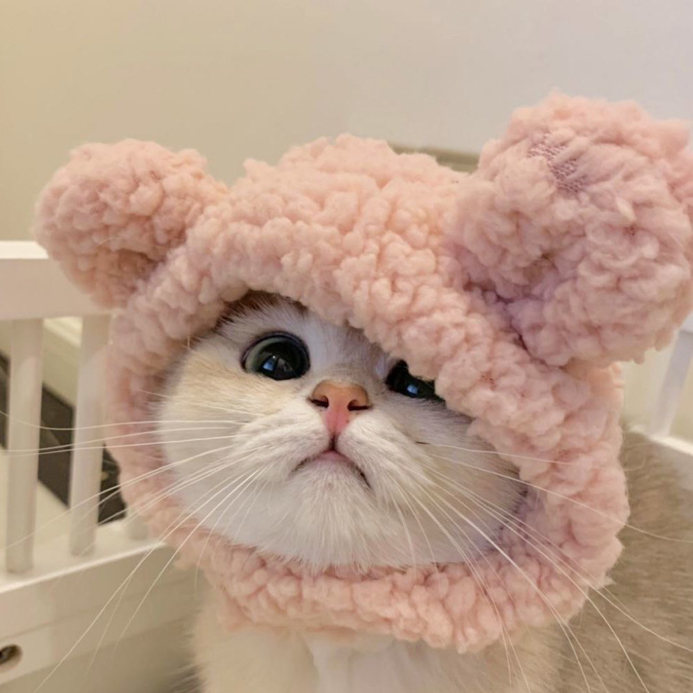 Lustiges Haustier-Stirnband, Plüschgarn, Katze, Hundekappe, Panda, Schwein, Haustier, warme Haustiermütze, KüKen, Cosplay, Zubehör, Kopfschmuck, Kostüm: Grau