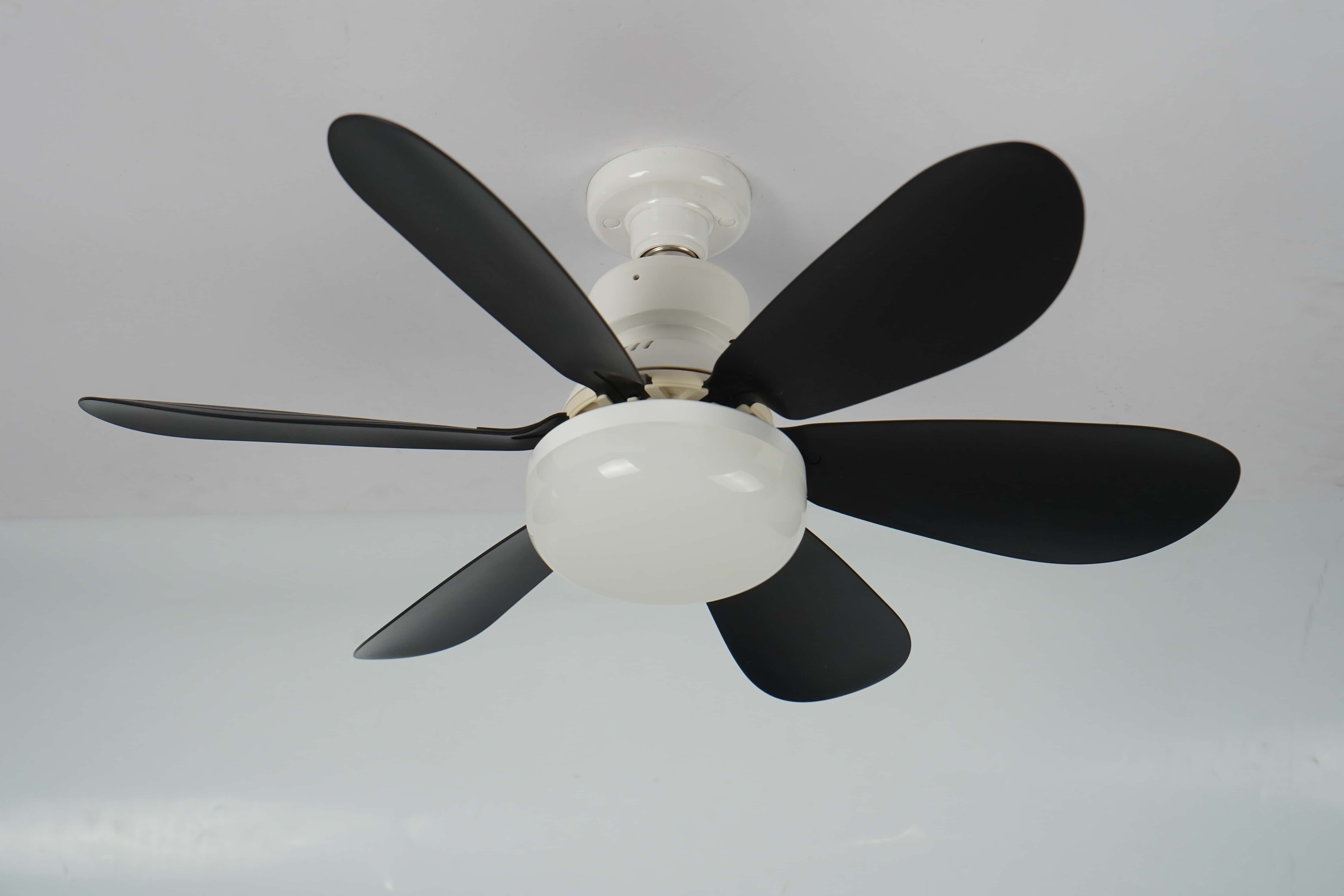 Plafondventilator in lichtfitting met afstandsbediening E27/E26 gloeilamp kleine ventilatorarmaturen combo voor badkamer slaapkamer terras: Black