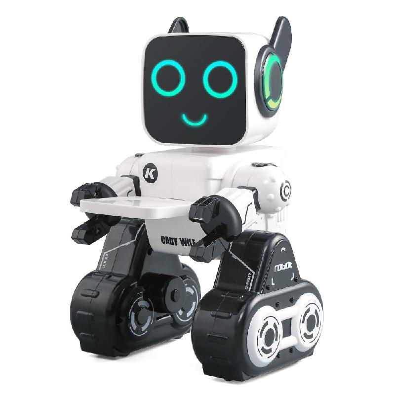 2.4G Rc Robot Speelgoed Geluid Verlichting Interactie Gesture Control Intelligentie Afstandsbediening Robot Educatief Speelgoed Cadeau Voor Kinderen