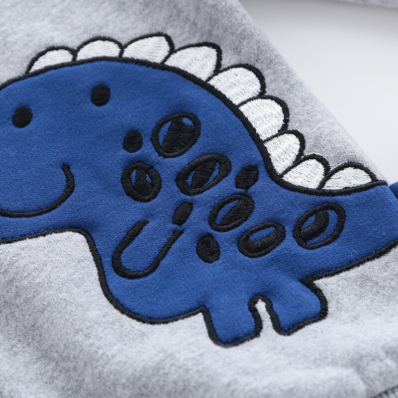 Boys cartoon fleece hoodie