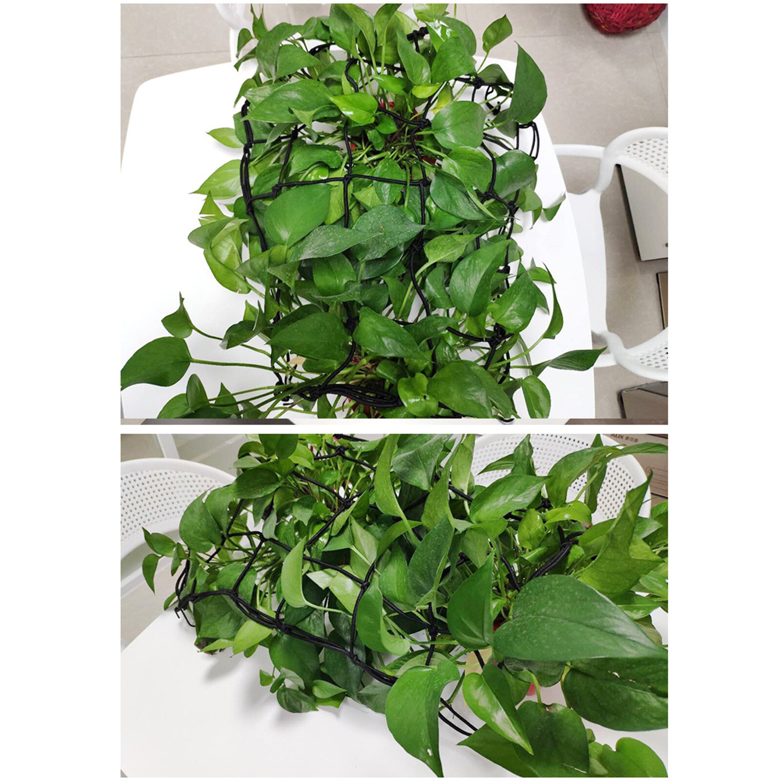 Black Nylon Multifunction More Size Grow Tents Stretchy Trellis Netting Garden Tools With 4 Hooks Plant Growth Nets