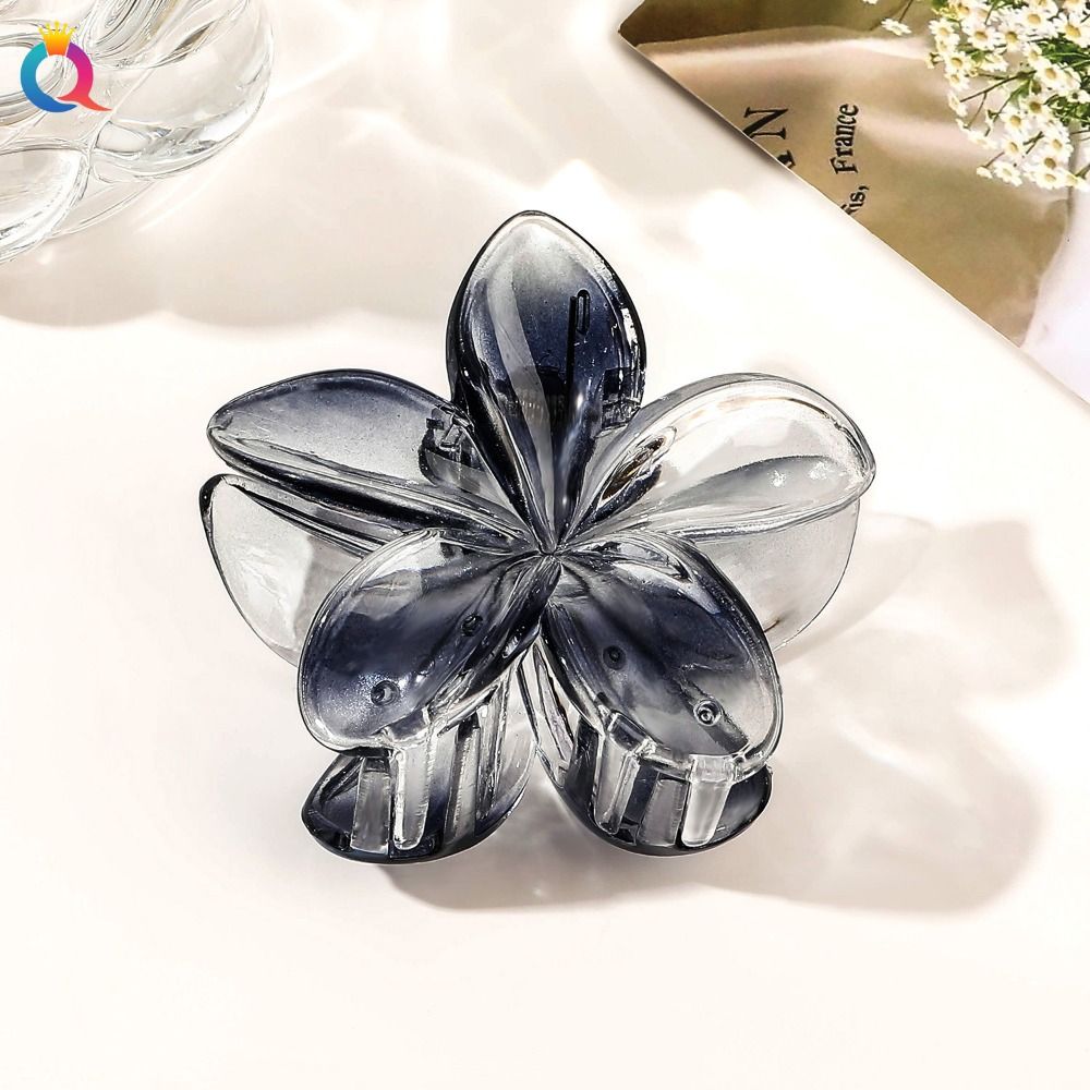 Pinza para el pelo de flor grande transparente, Color degradado, pinzas en forma de flor Simple, accesorios para el cabello, horquilla para cola de caballo: Plata