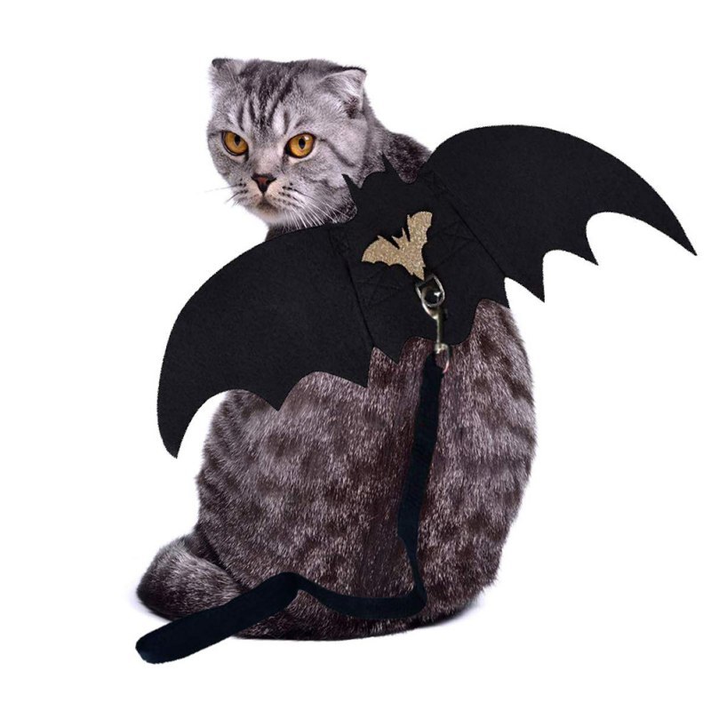 Halloween kæledyr hunde kostumer flag vinger sort sød fancy kjole op halloween kæledyr hund kat kostume med snor