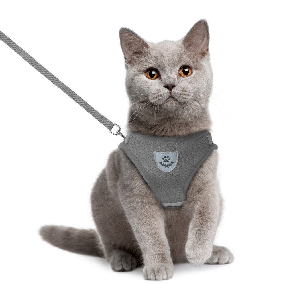 Hund Katze Walking Jacke Harness Leine Haustiere Welpen Kätzchen Kleidung Einstellbare Weste Reflektierende Walking Blei Leine Weste für Welpen